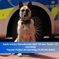 Hund vor Polizeiauto